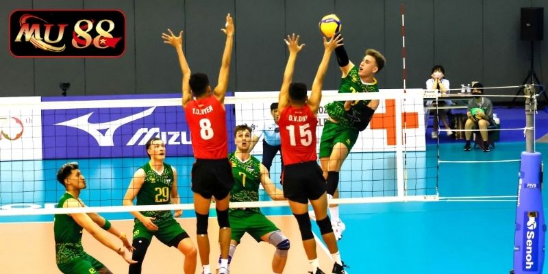 Cách cá cược bóng chuyền nhà cái MU88 hay